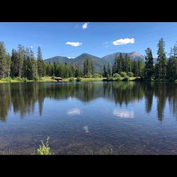 Meet your Posher, Ricky - Picture 5 of 8